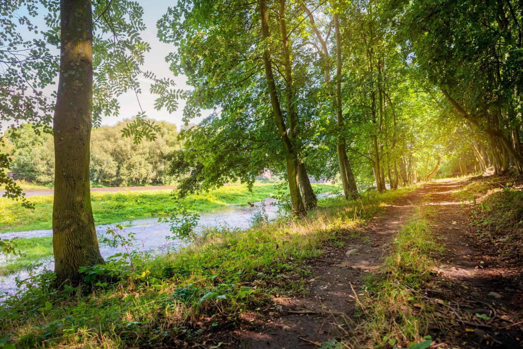Pension u Jezu Klášterec nad Ohří Extérieur photo